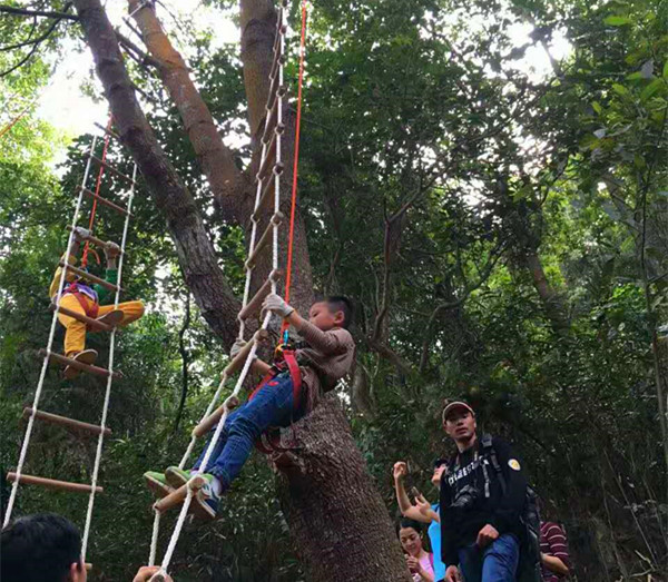 东莞亲子活动套餐：玩转亲子游戏，乐享农场采摘！